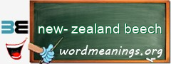 WordMeaning blackboard for new-zealand beech